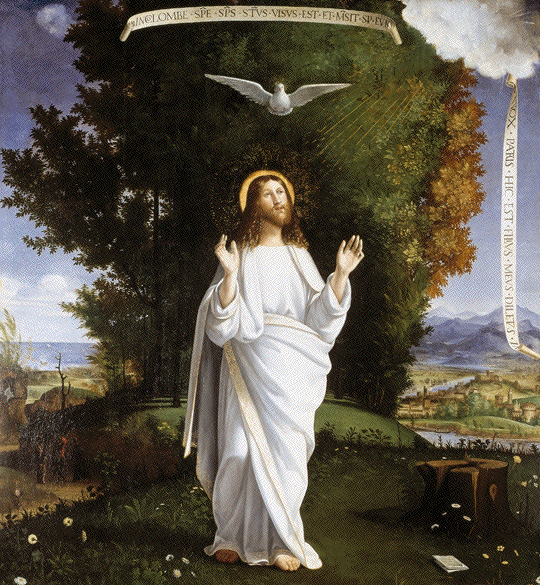 Andrea Previtali (1470 ca.-1528), Trasfigurazione , Milano, Pinacoteca di Brera. 141-1g2.png